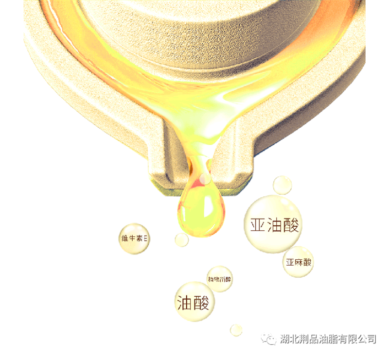 微信图片_20230302091658.png